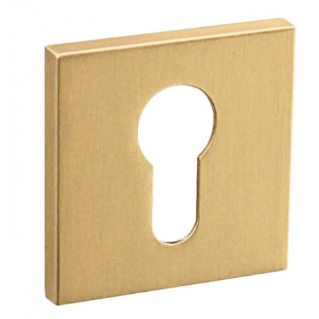 Rozeta RFQ MG02 FIT wkładka złoty mat kwadrat